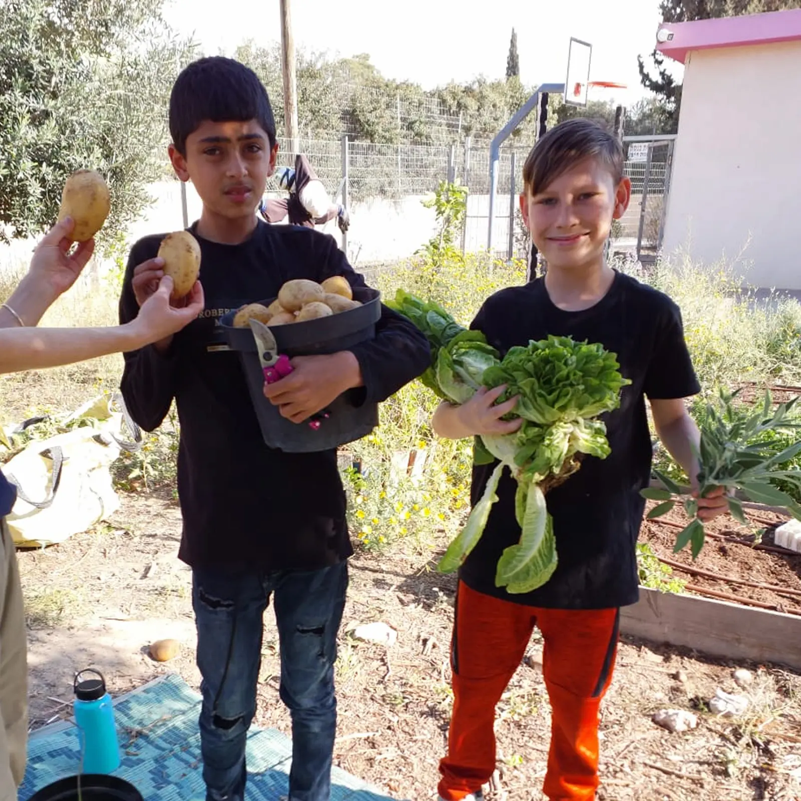 Cours de jardinage 3